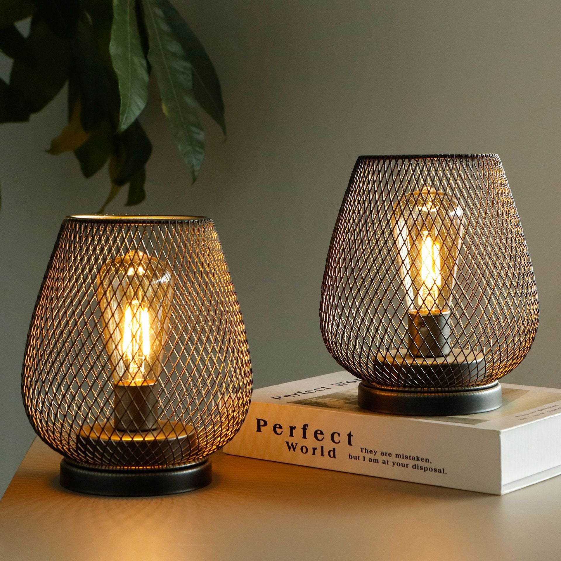 2 Iron Decorative Lights